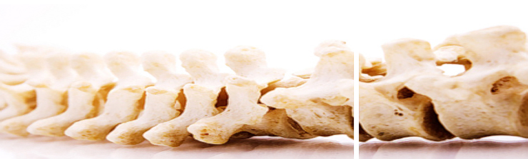 About Osteopathy at The Oxford Osteopath & Sports Injury Clinic | OSIC